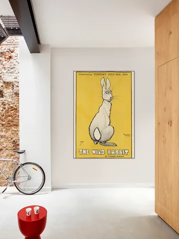 The Wild Rabbit