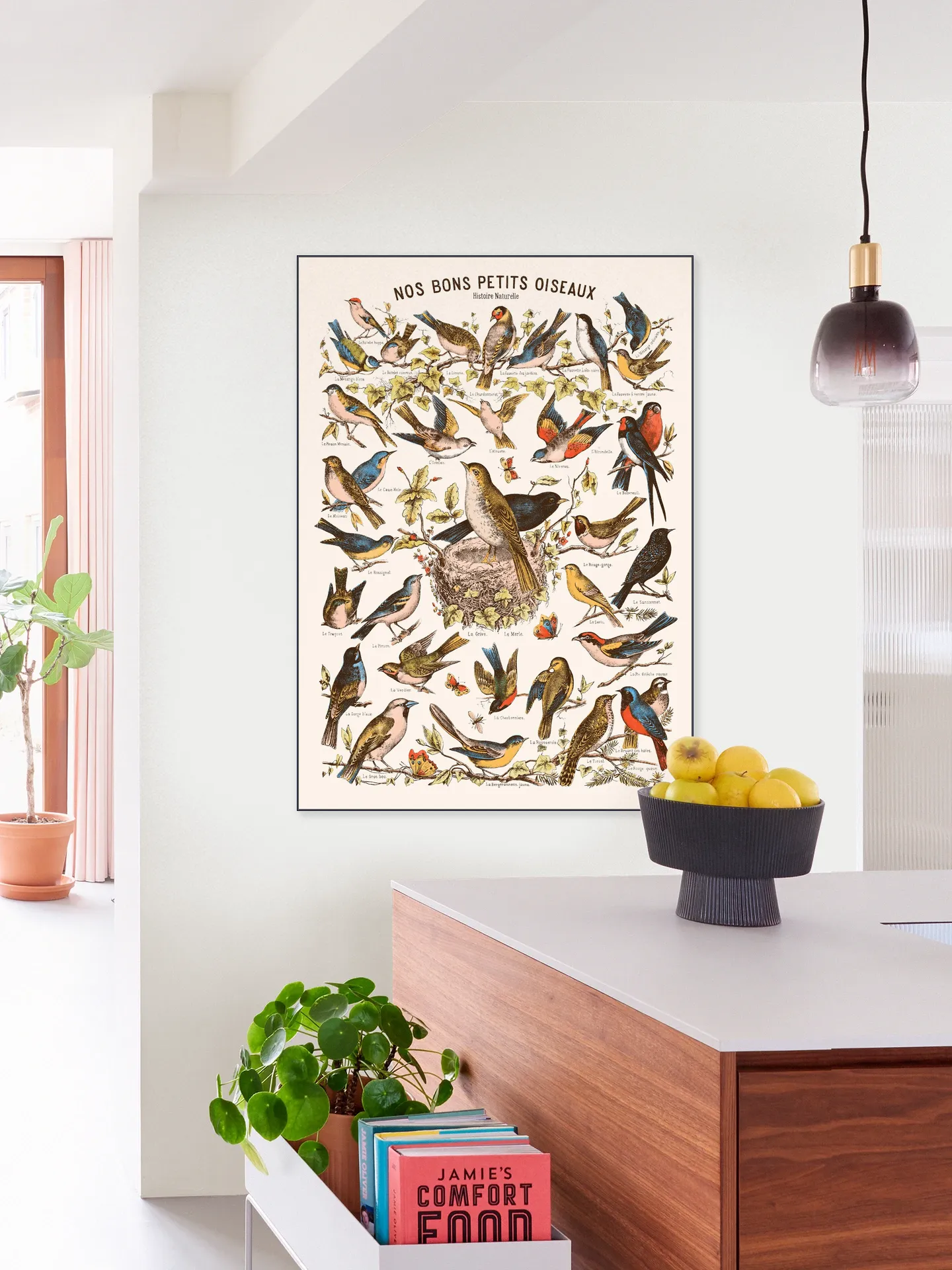 Nos bons Petits Oiseaux