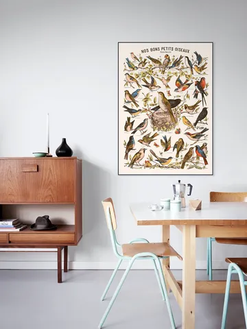 Nos bons Petits Oiseaux