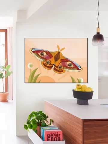 Emperor Moth