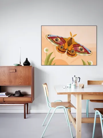 Emperor Moth