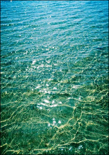 Fresh Blue