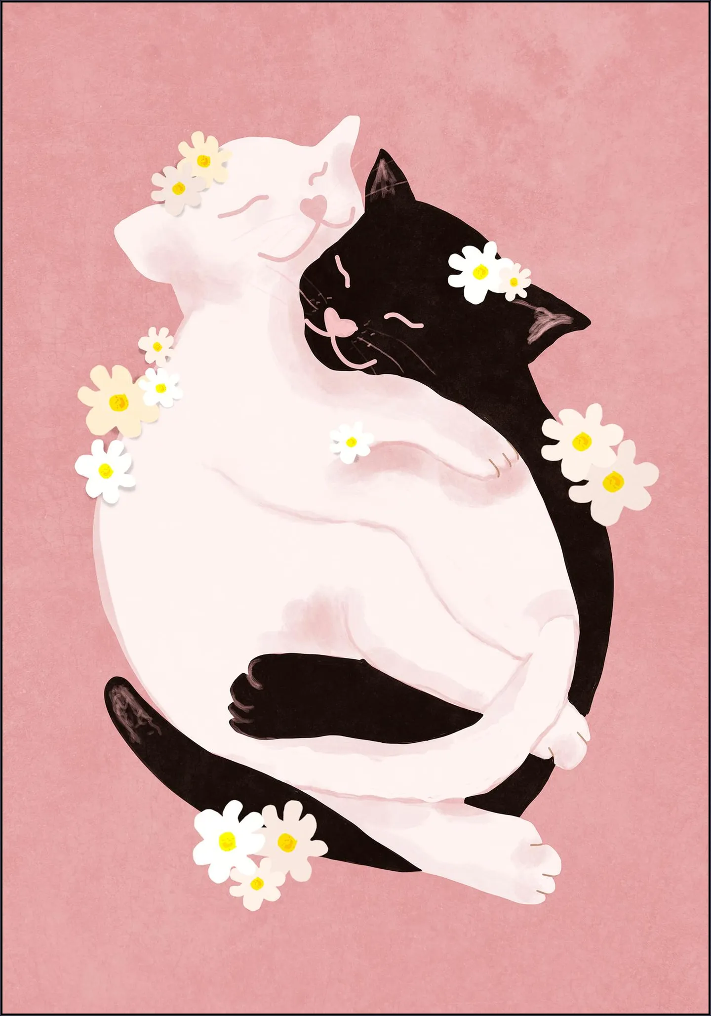 Cuddling Cats